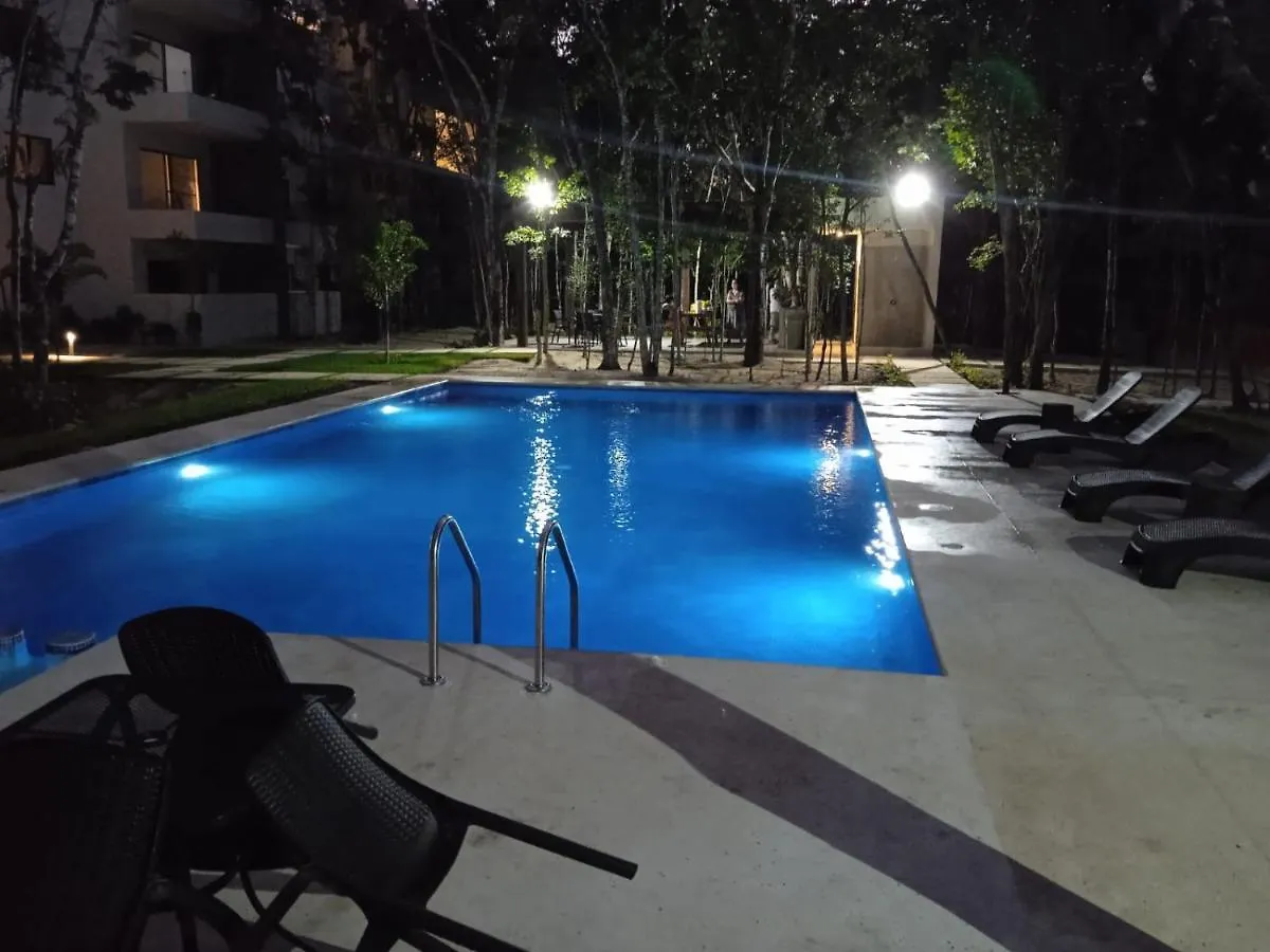 פלאייה דל כרמן Condo Residencial Selvanova VIII