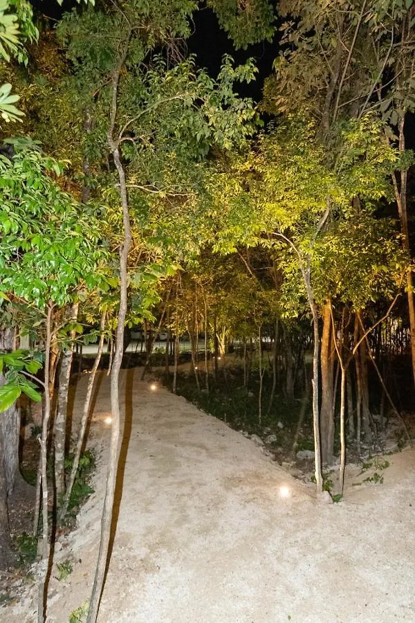 פלאייה דל כרמן Condo Residencial Selvanova VIII פלאייה דל כרמן